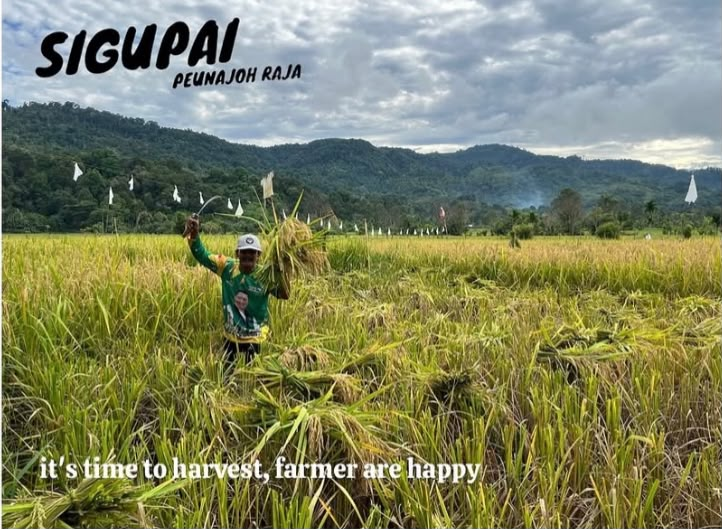 Petani Sigupai